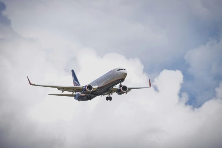 sector dynamics tracking numbers